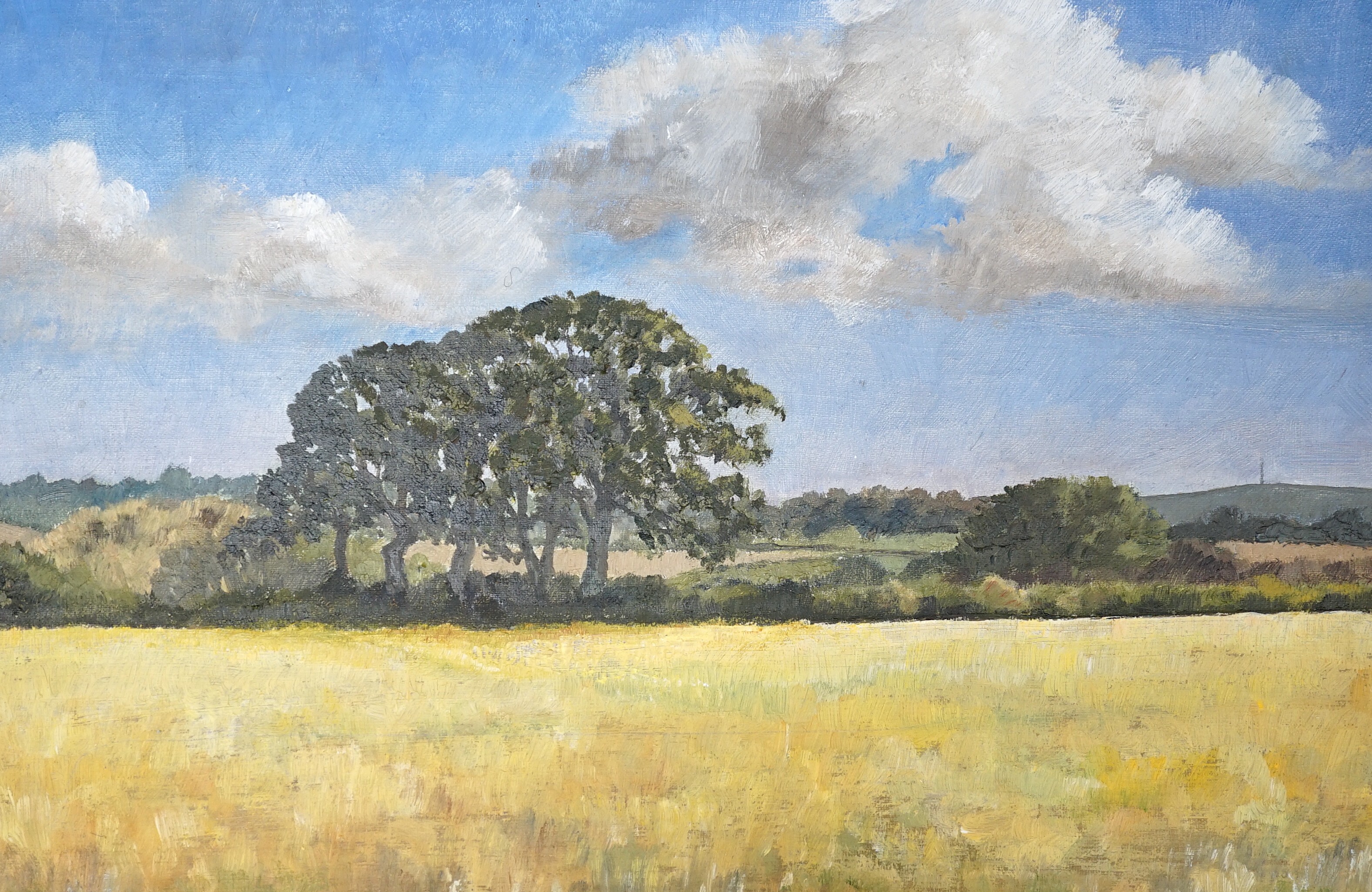 Pat Reid (20th C.), oil on board, 'Cornfield', signed verso, 19 x 29cm